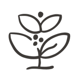 Botanical Surroundings
