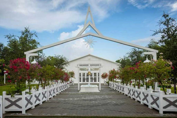 Wedding Ceremony Highlight